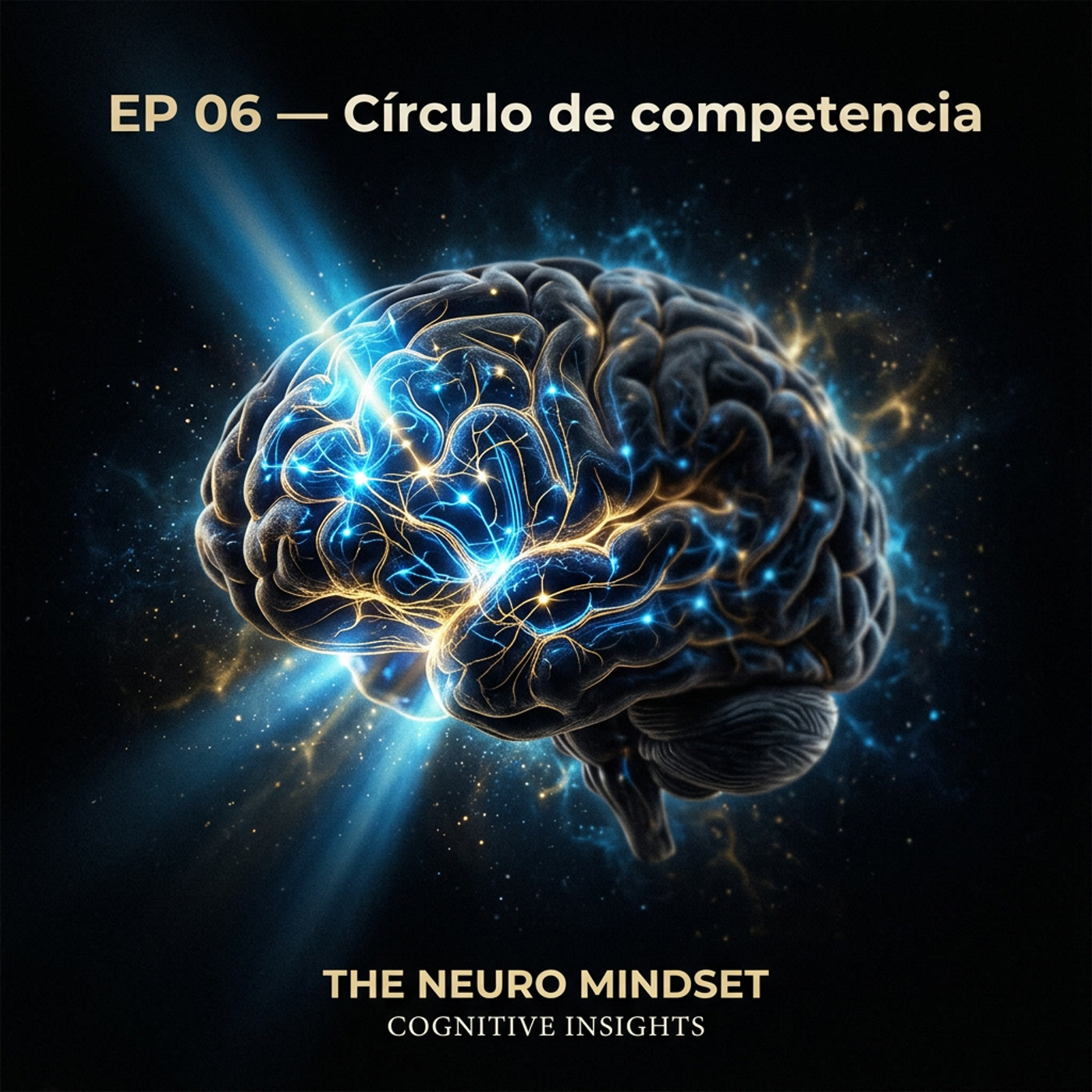 Círculo de competencia: No necesitas entenderlo todo