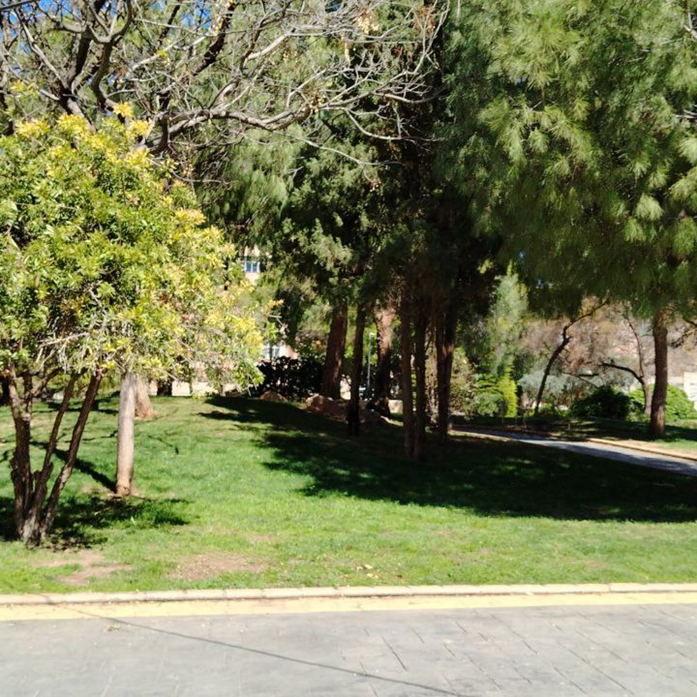 El parque de Los Juncos