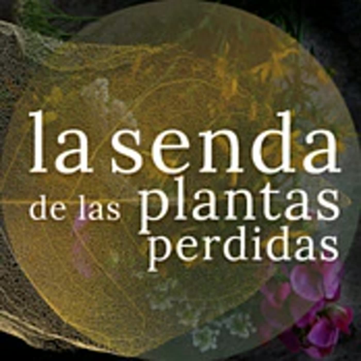 45 La senda de las plantas perdidas cumple cien programas