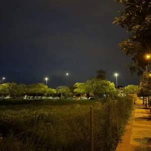 28. Una mirada al futuro de PrestoCast