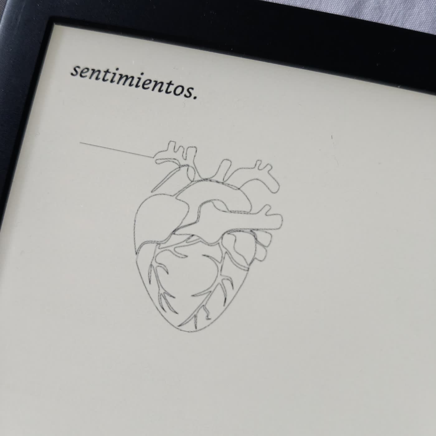 229. Sentimientos