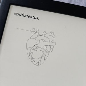 229. Sentimientos