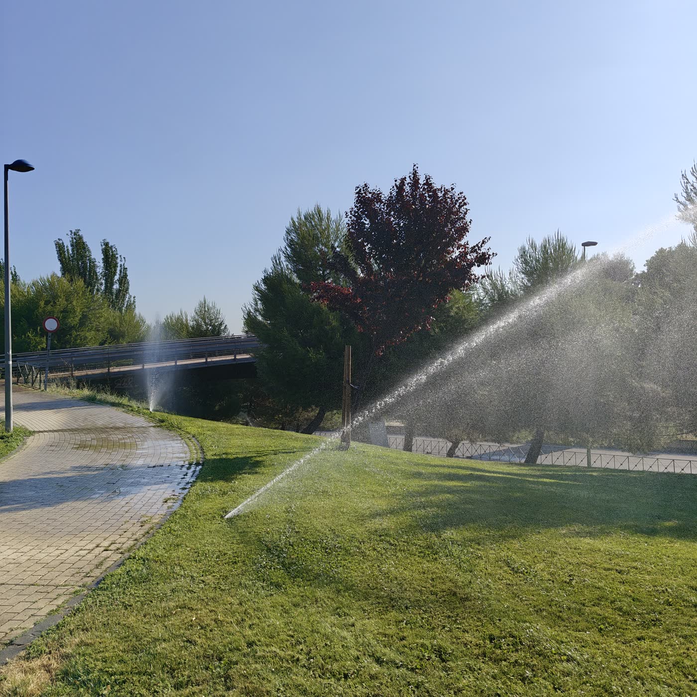 238. Haciendo ejercicio en el parque