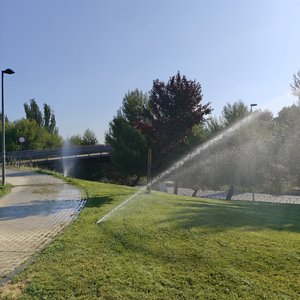 238. Haciendo ejercicio en el parque