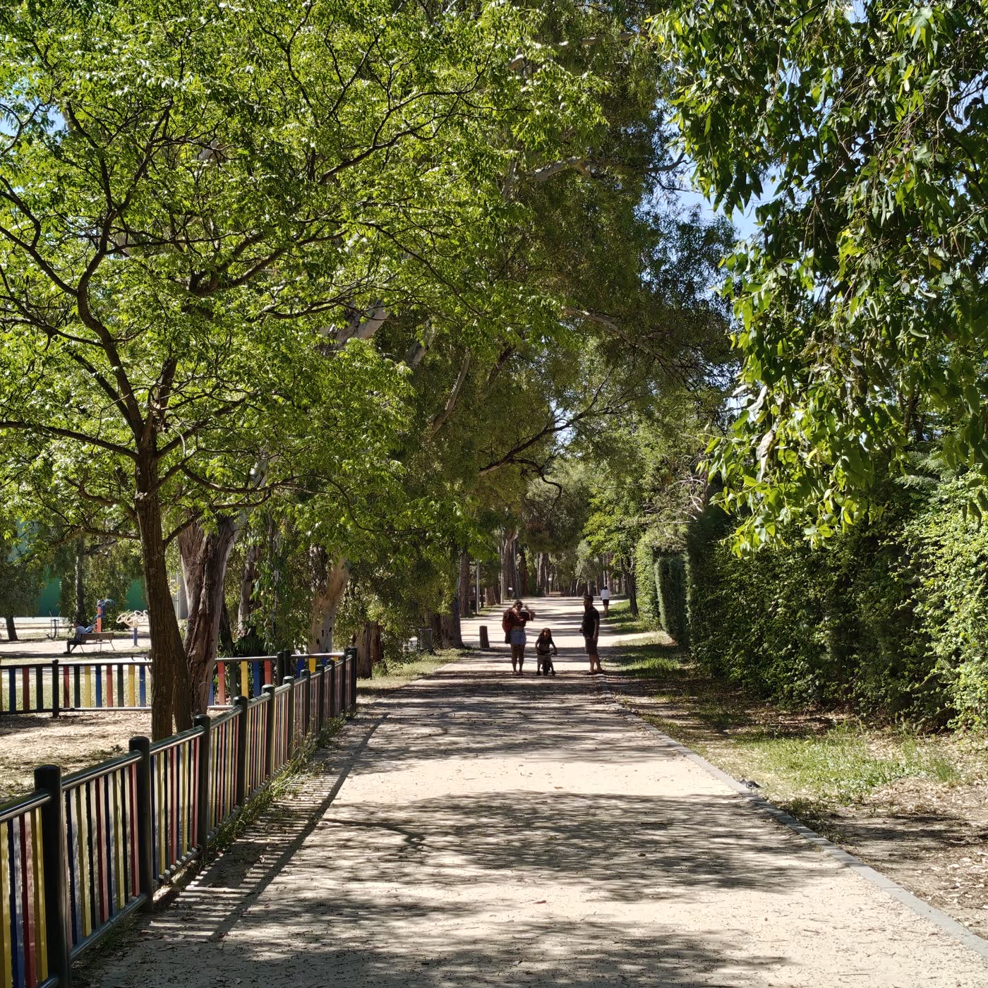 209. Paseando por el parque de los Frailes episode artwork