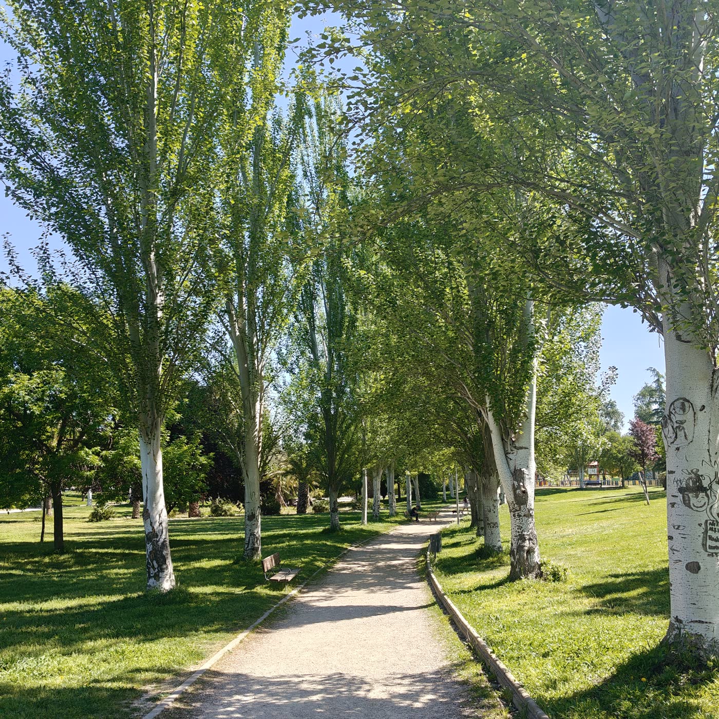 157. Leganés y su nuevo centro de salud episode artwork