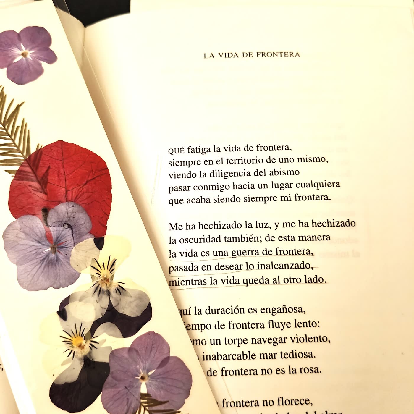 173. La vida de frontera episode artwork
