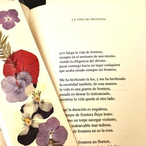 173. La vida de frontera