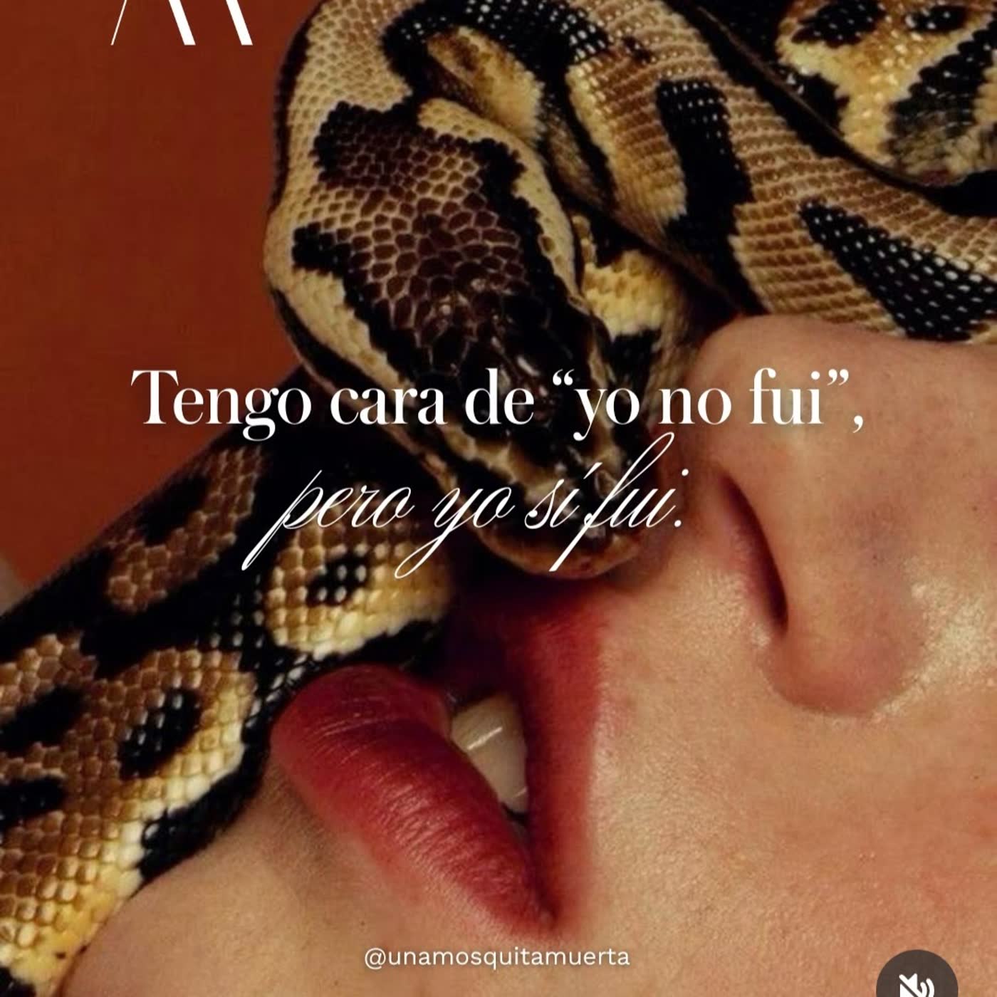 181. Yo sí fui episode artwork