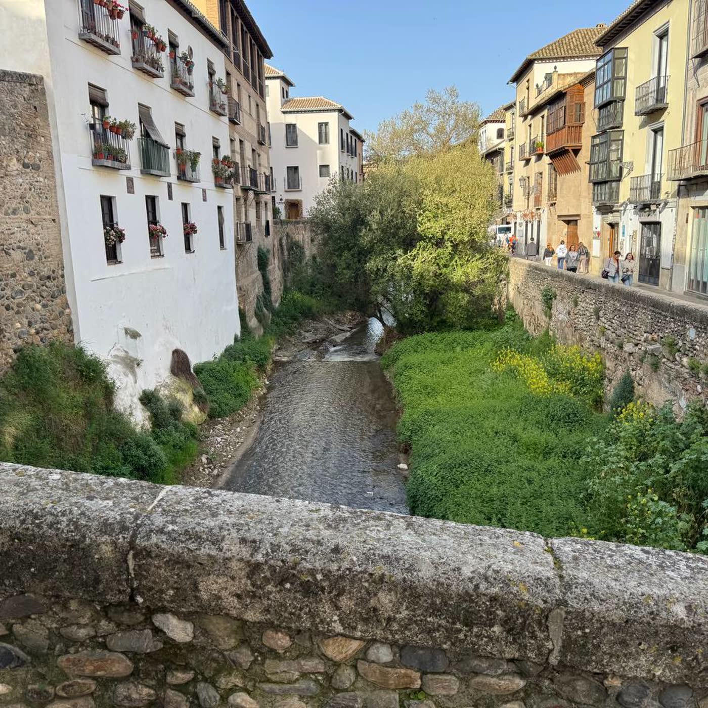 Amanecer junto al Darro