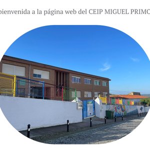 81. Primorrivera