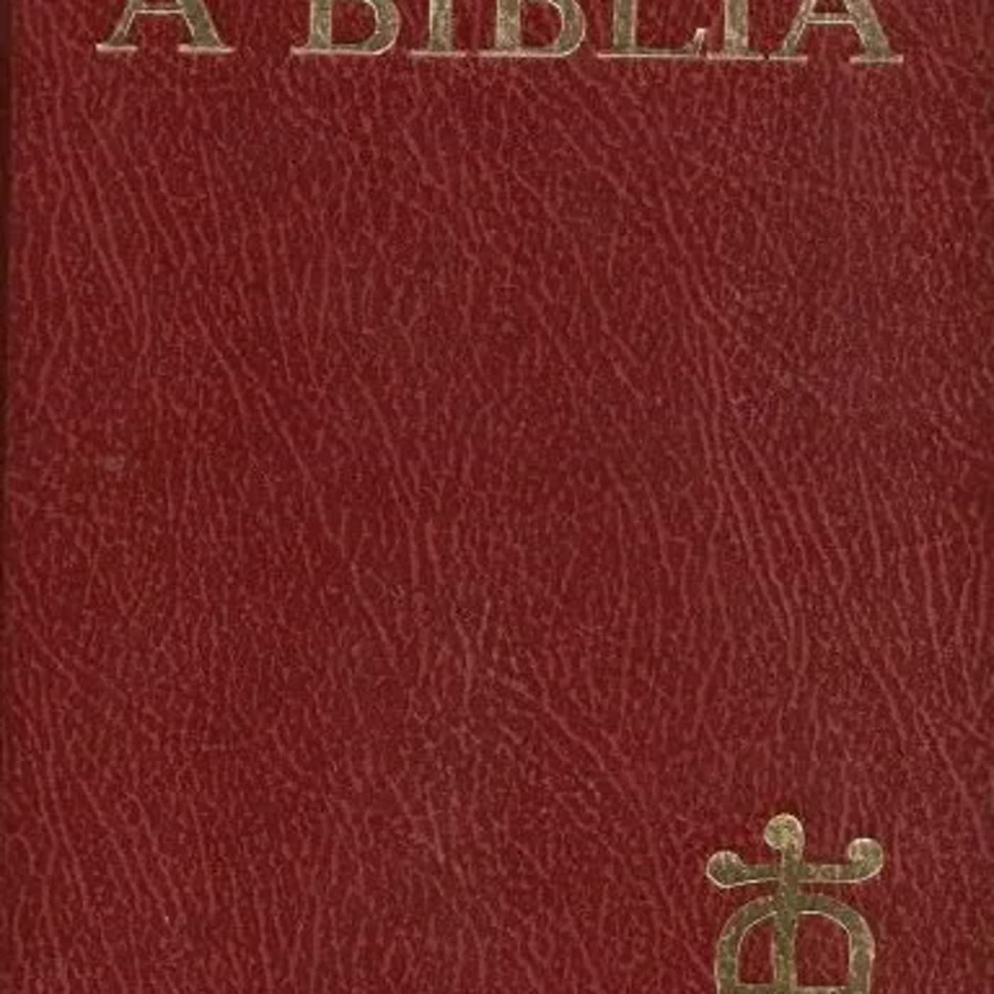 48. A Biblia dos 144.000