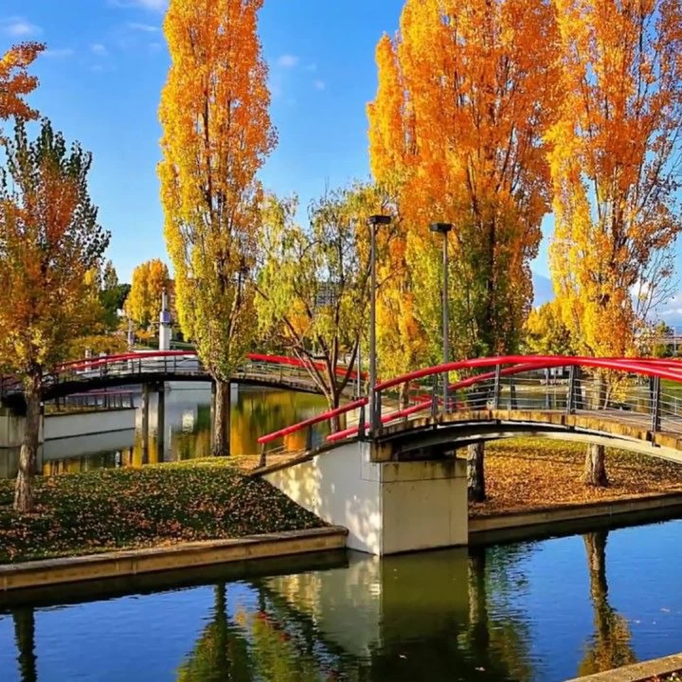 241. Mi otoño favorito