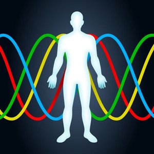 Biorritmos