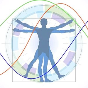 Biorritmos y ritmos circadianos