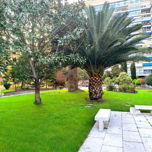 Oasis entre el cemento