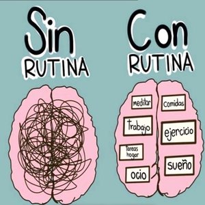 Volver a la rutina. Dos dinámicas.