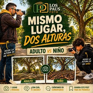11. Una foto desde la altura de un adulto y otra desde la altura de un niño