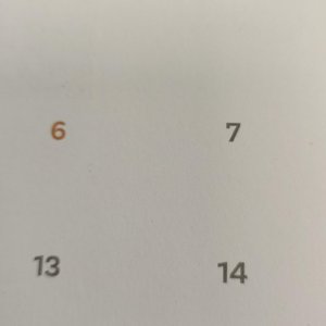 18. Tornant de vacances