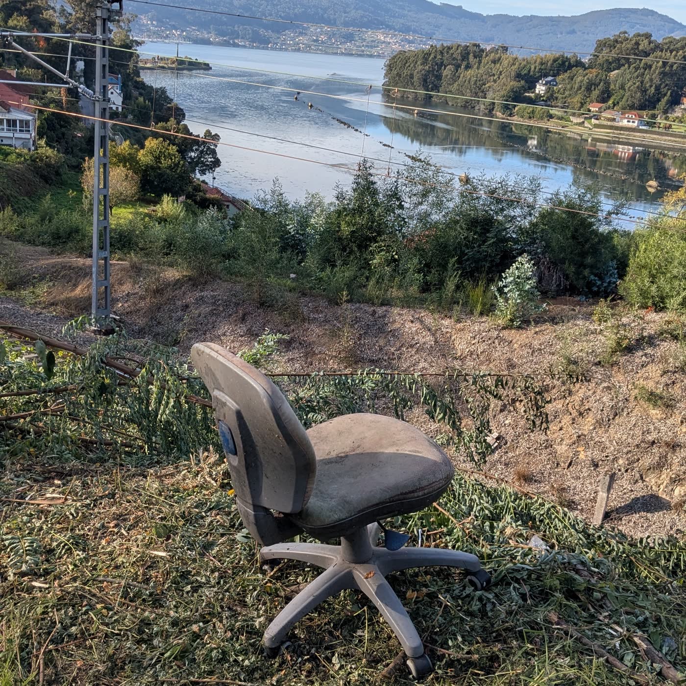 2. Rimo