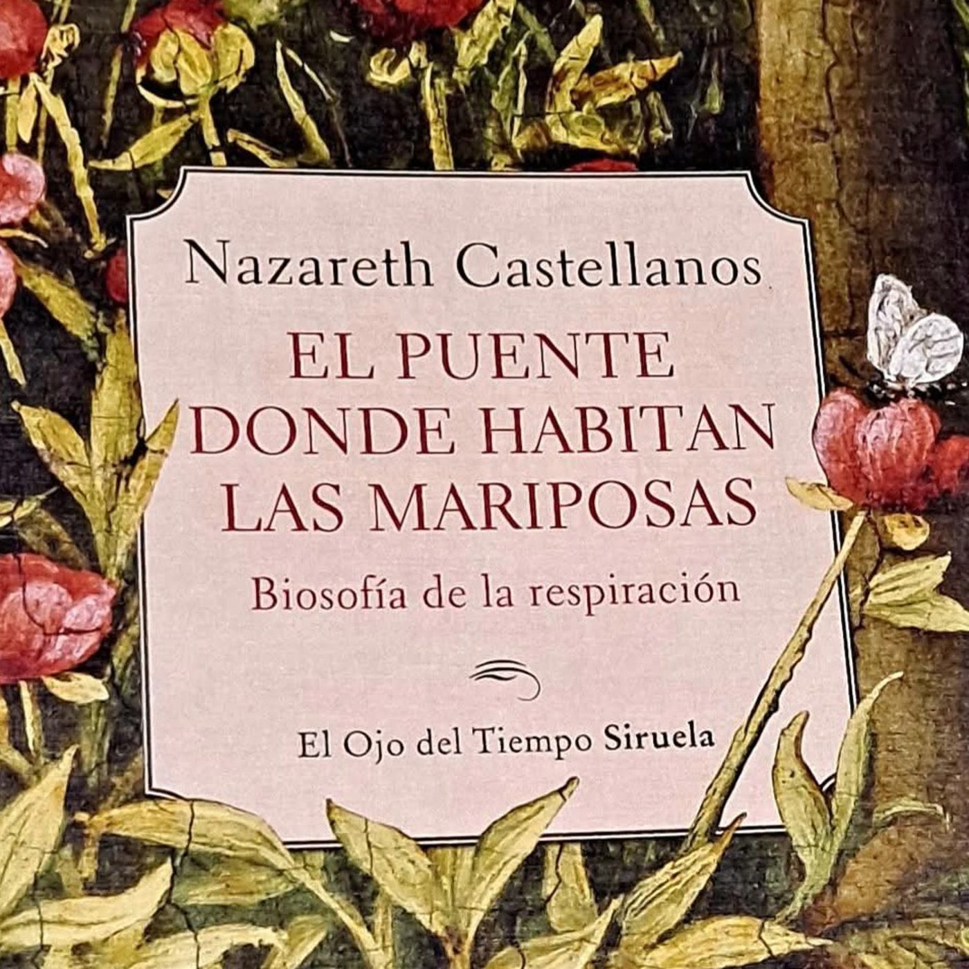 3. El puente donde habitan las mariposas