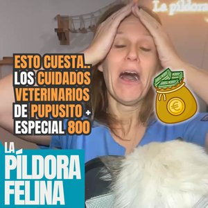 800. Esto cuesta.. los CUIDADOS VETERINARIOS de PUPUSITO + ESPECIAL 800