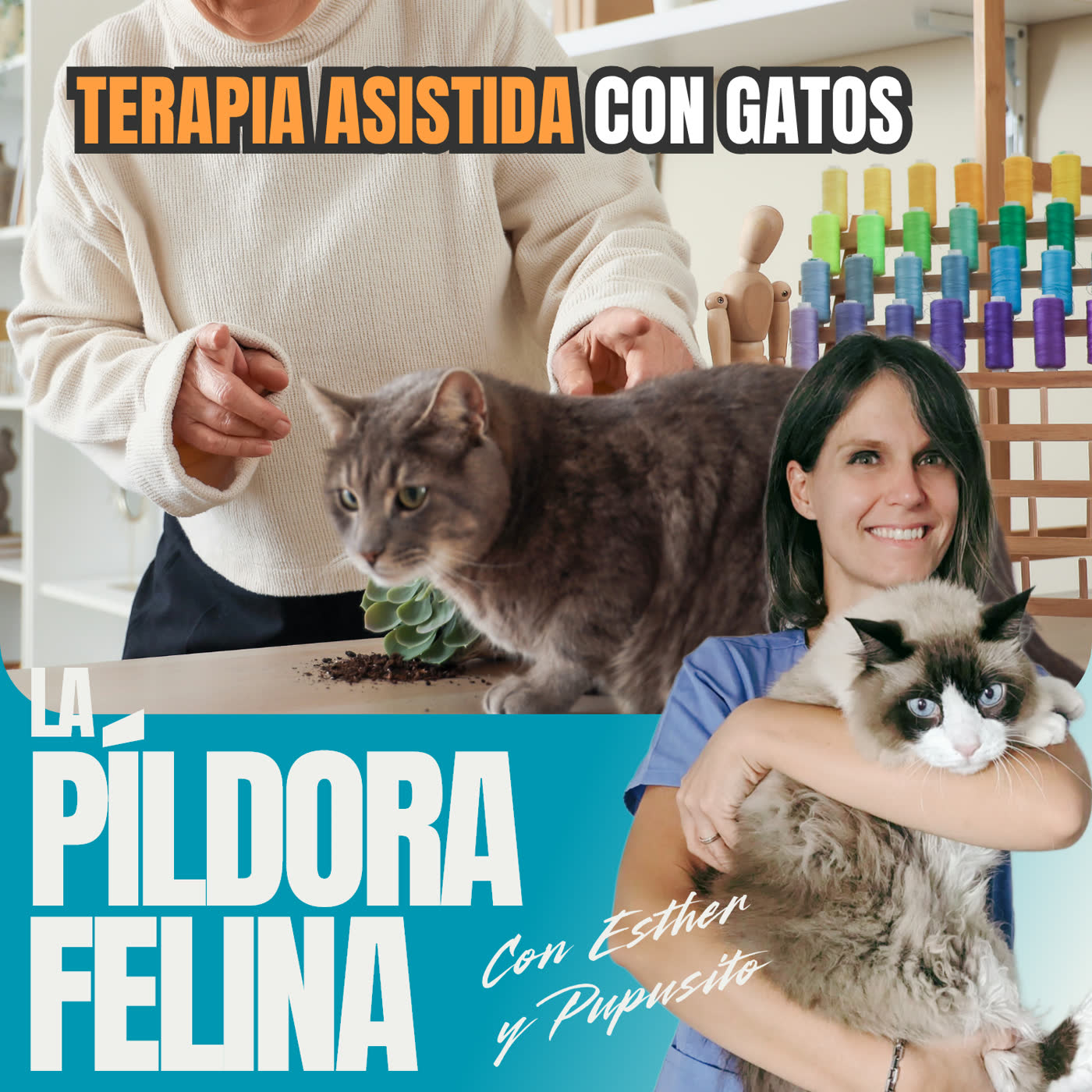 785. TERAPIA ASISTIDA con GATOS