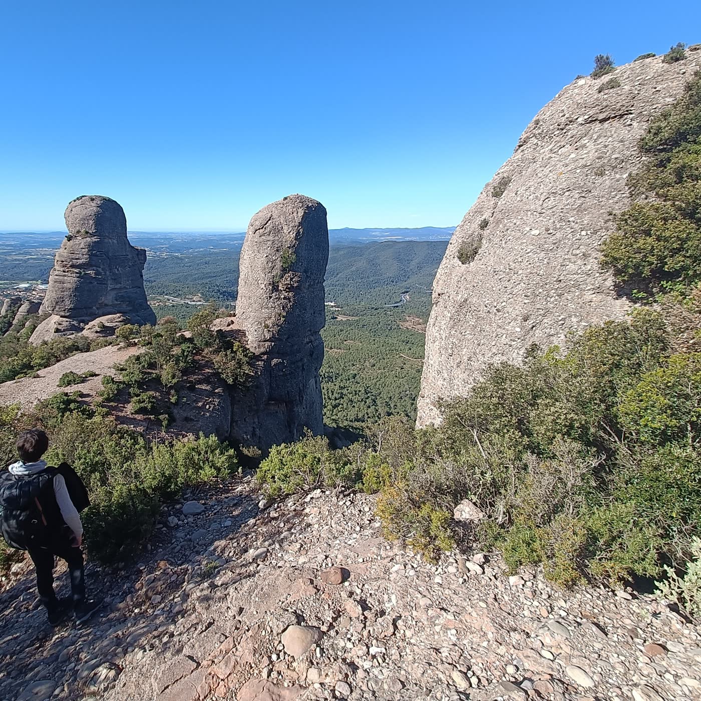 Portada de Apuntes de Naturaleza