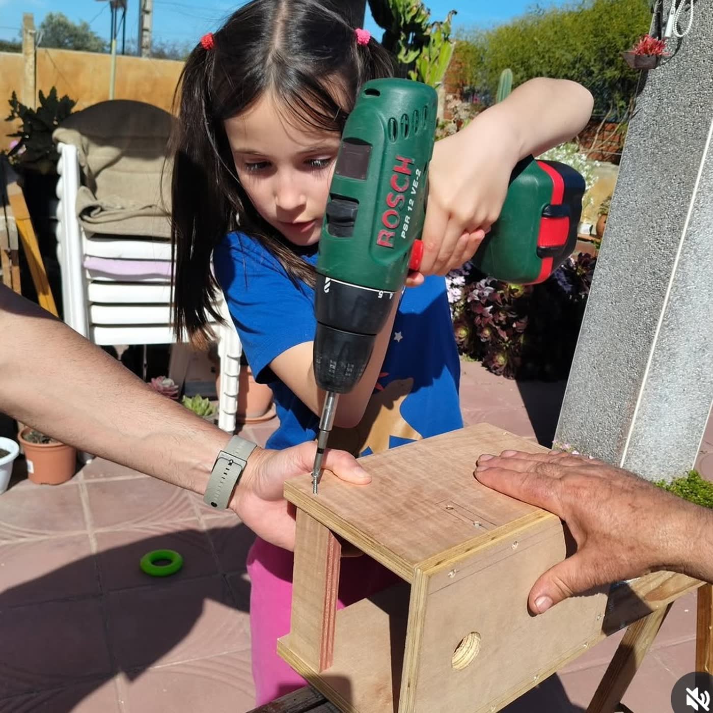 Niños y Cajas Nido
