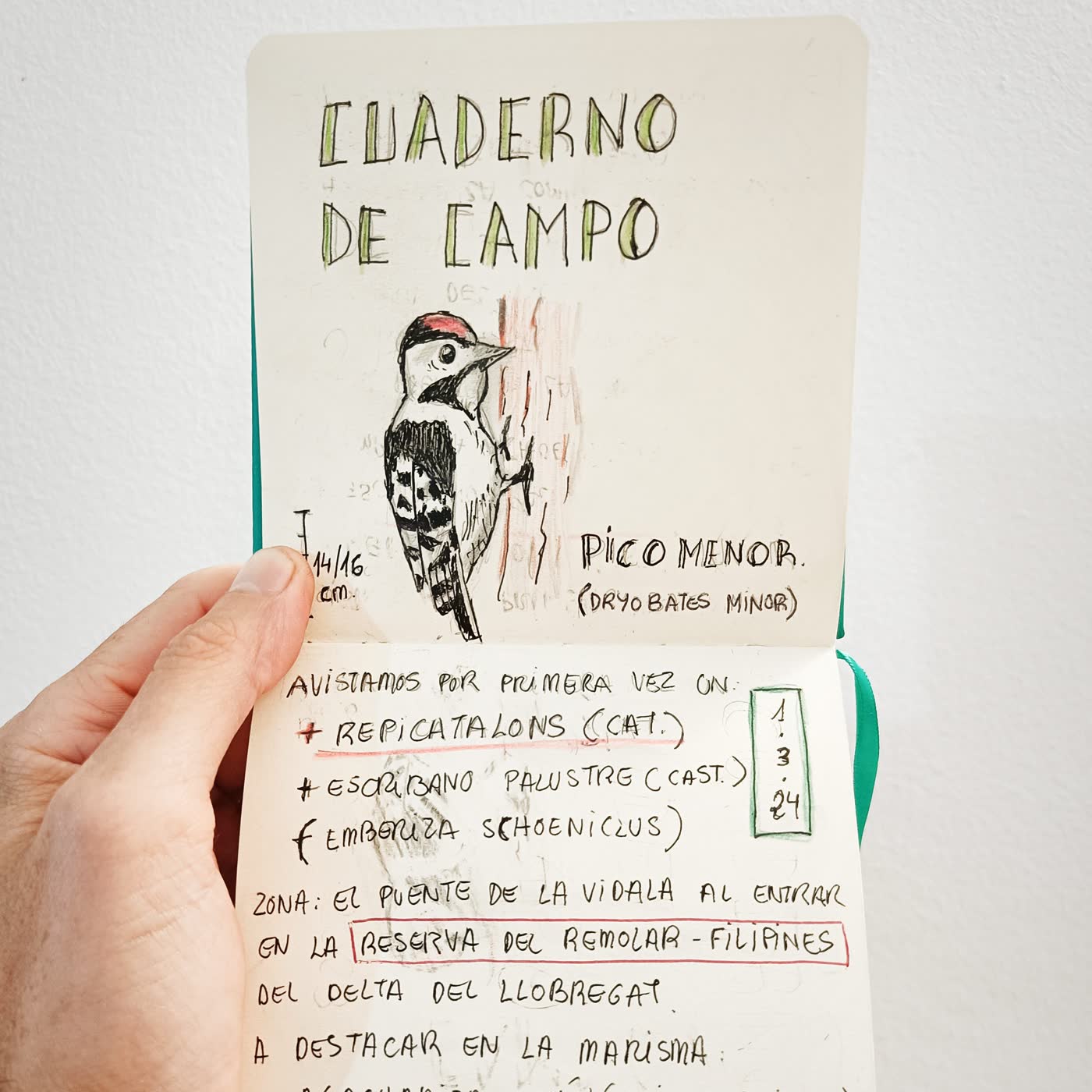 105. Pon un cuaderno de campo en tu vida