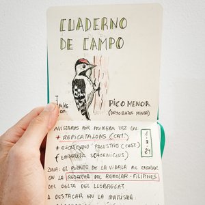 105. Pon un cuaderno de campo en tu vida