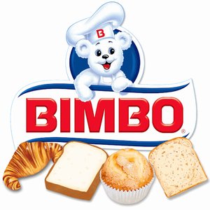 120. Origen del término bimbo en Ornitología