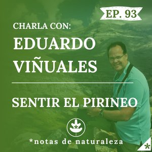 111. El quebrantahuesos como símbolo del Pirineo