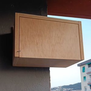 De cuando criamos vencejos en el balcón