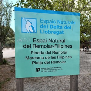 94. Visita la reserva del Delta del Llebregar