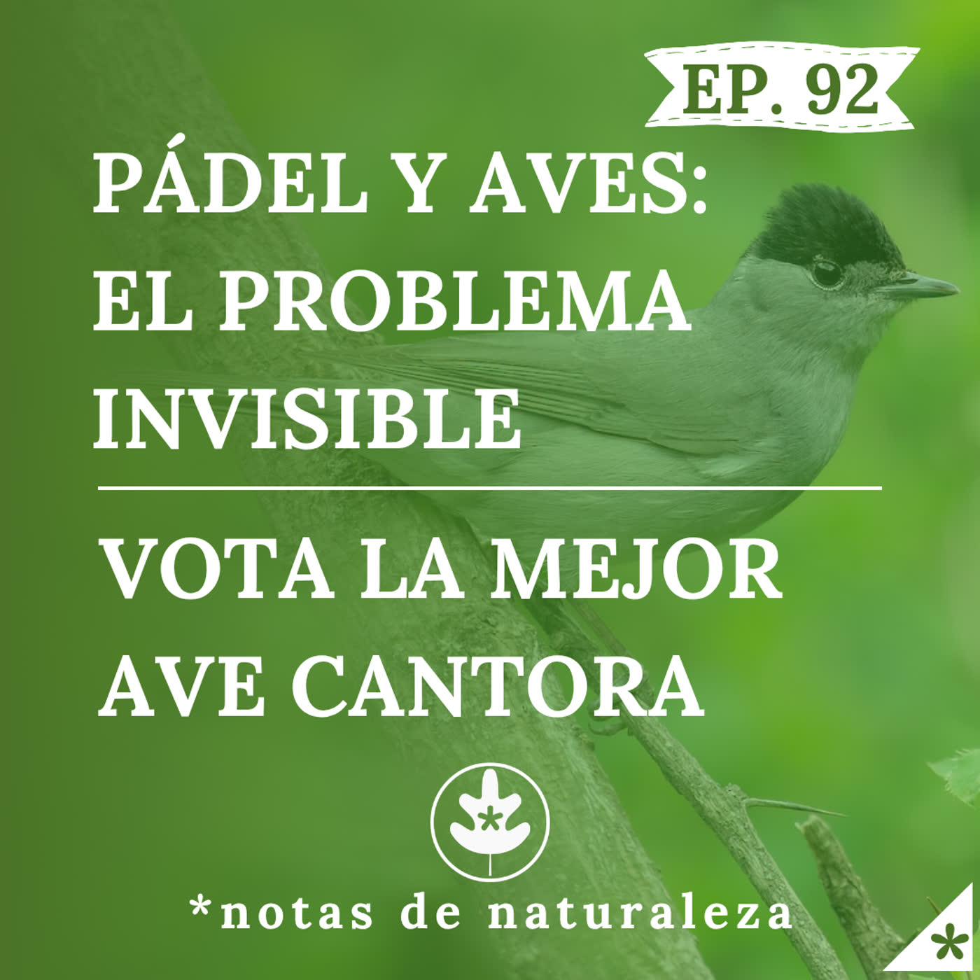 78. Votando el mejor canto de ave