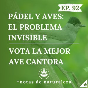78. Votando el mejor canto de ave