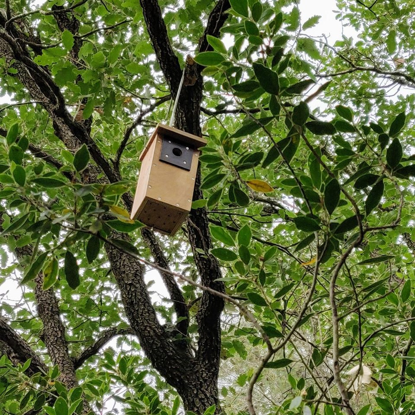 Portada de Apuntes de Naturaleza