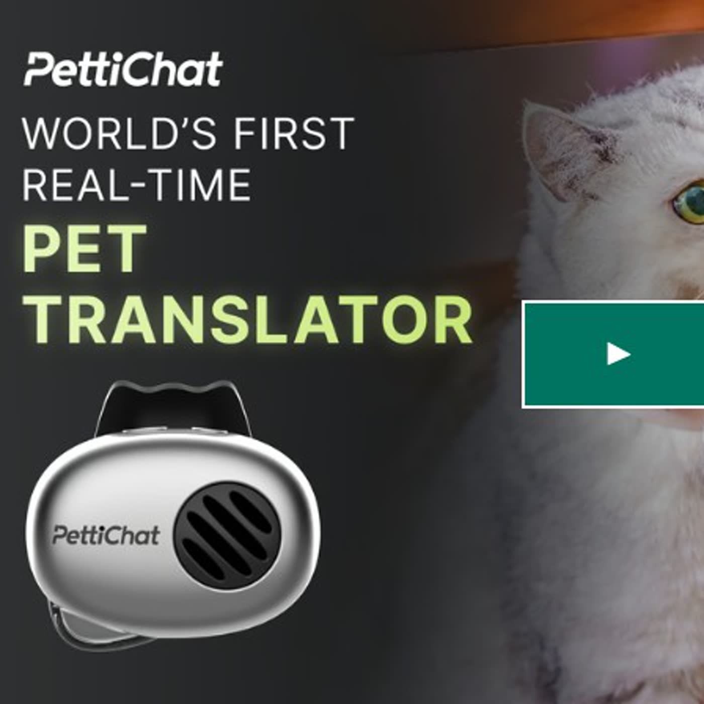 64. Dispositivo para traducir lo que dice tu mascota