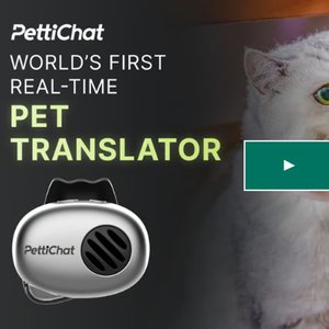 64. Dispositivo para traducir lo que dice tu mascota