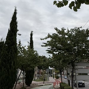 73. Caminando al trabajo