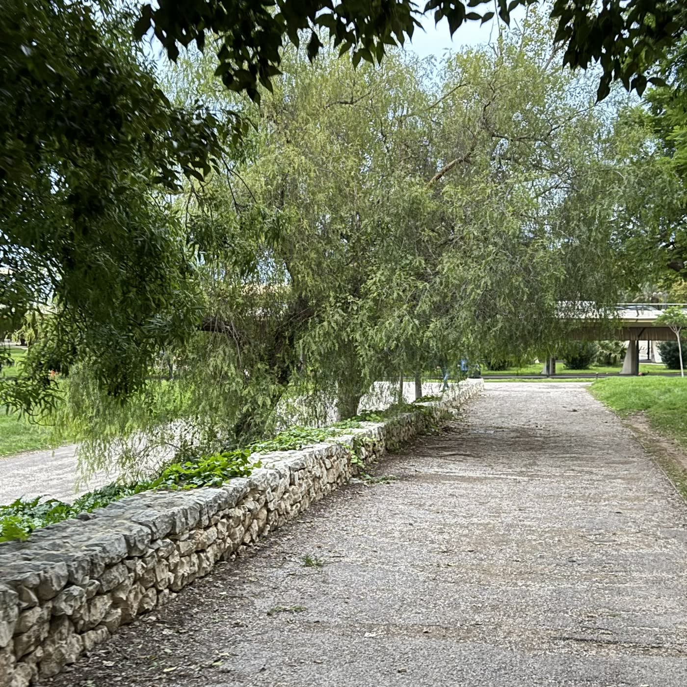 Portada de lolamp7