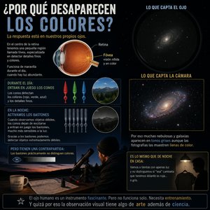 Por qué no vemos colores