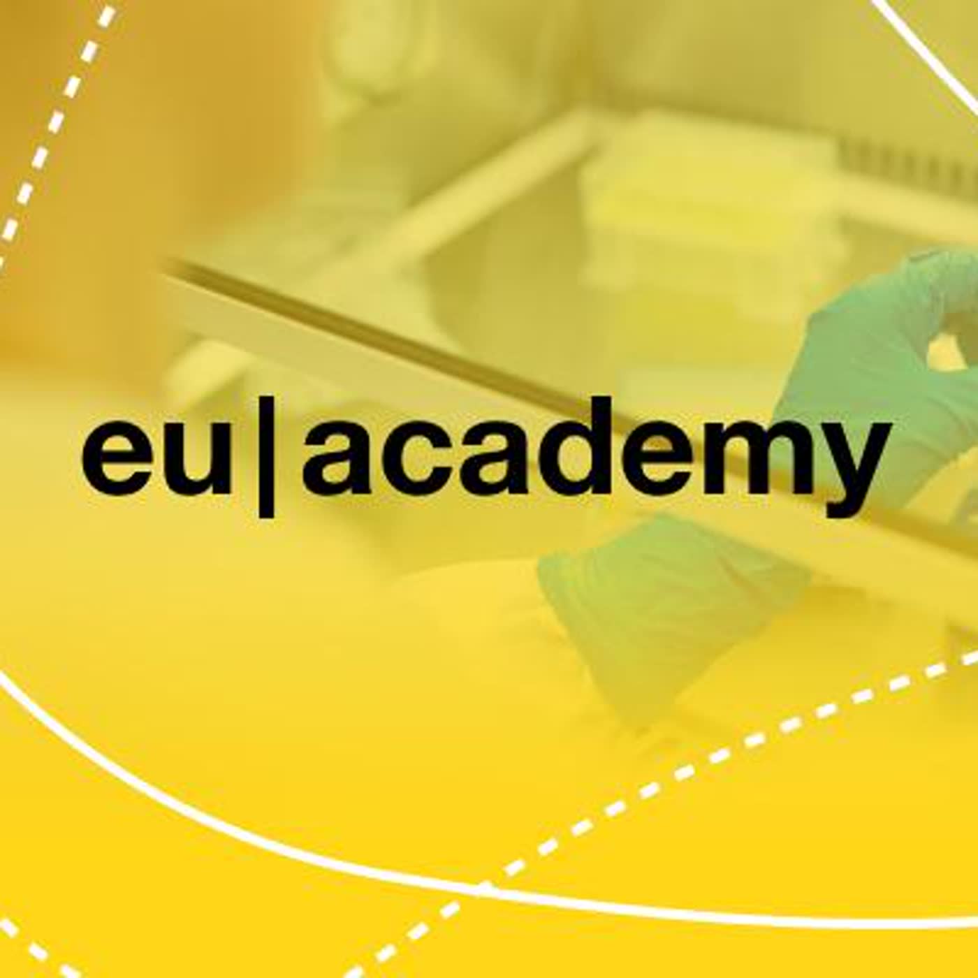 103. Plataforma de aprendizaje EU Academy