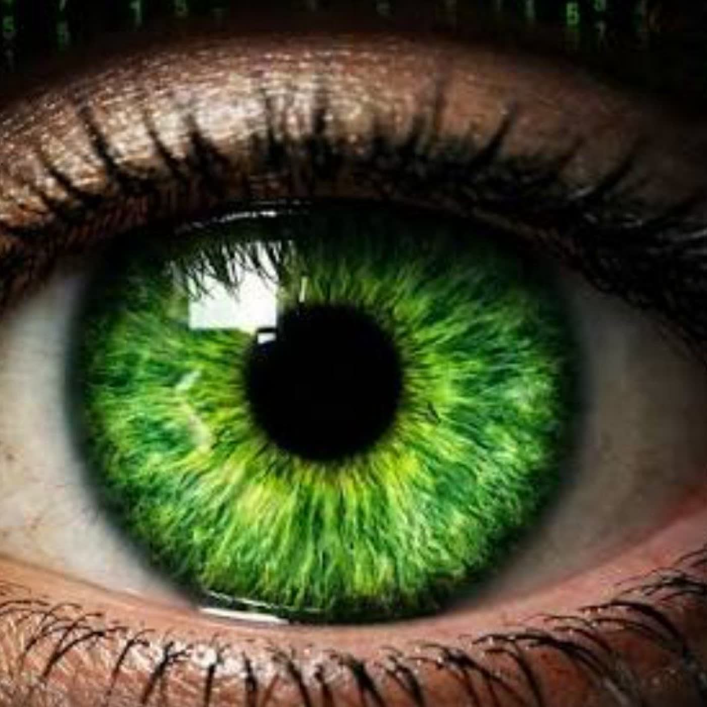 81. Los humanos diferenciamos el verde episode artwork
