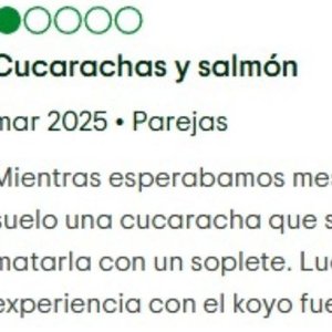 75. Cucarachas flameadas en un restaurante #ReseñaReal