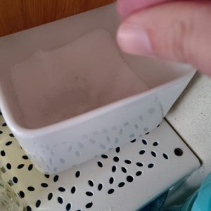 El sonido que escucha la sal. Antes de morir.