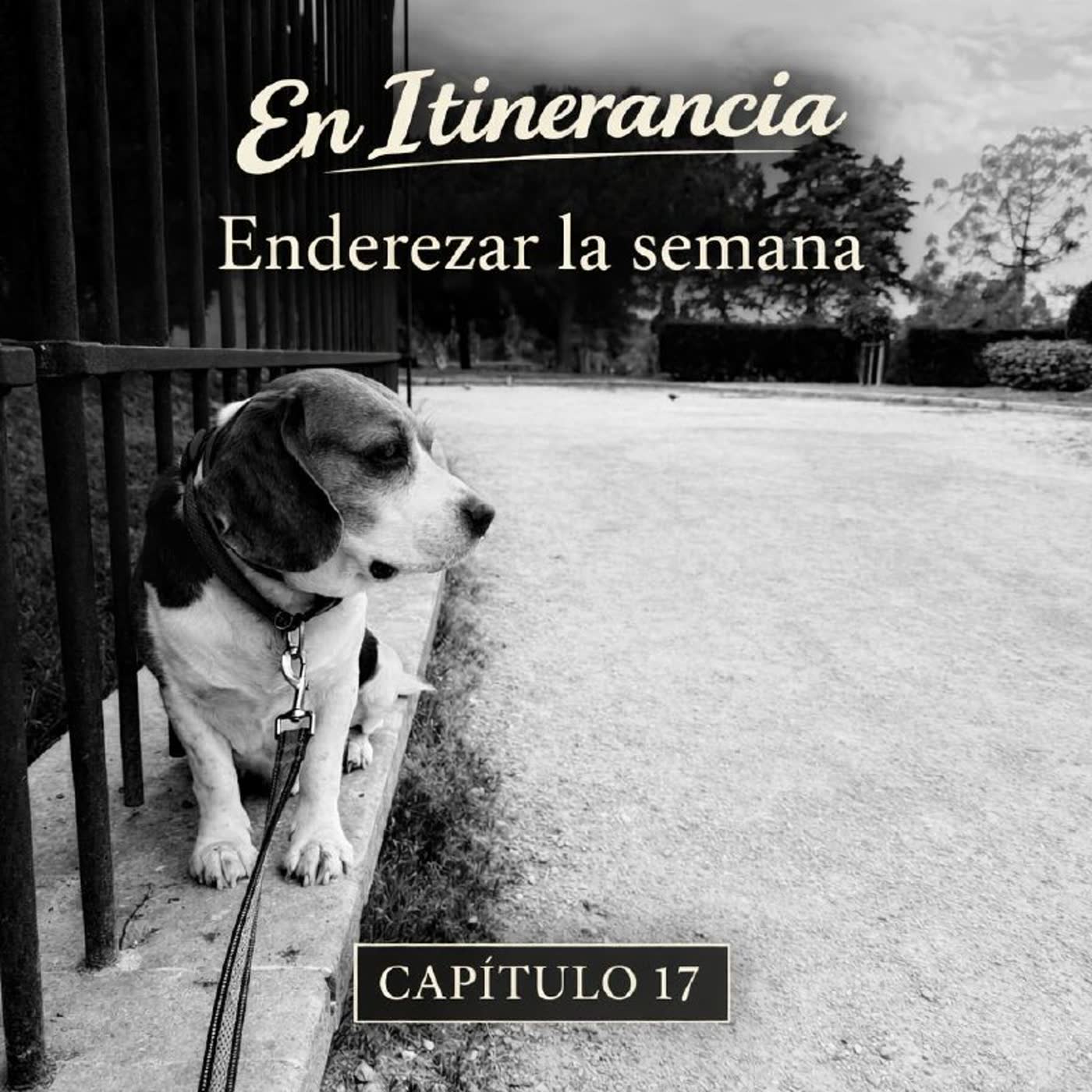 Enderezar la semana