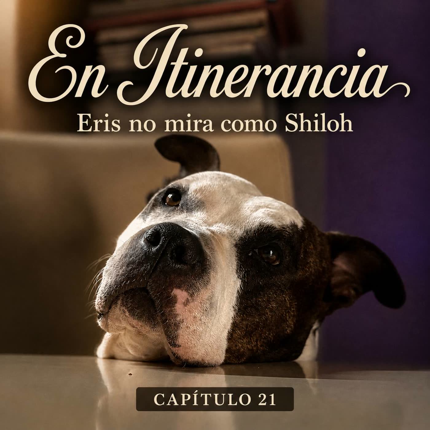 Portada de En itinerancia