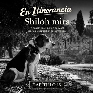 Shiloh mira